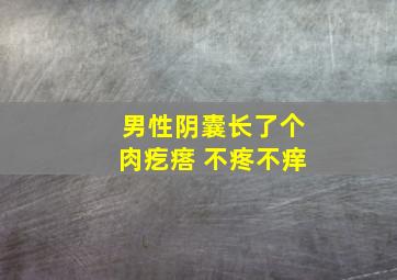 男性阴囊长了个肉疙瘩 不疼不痒